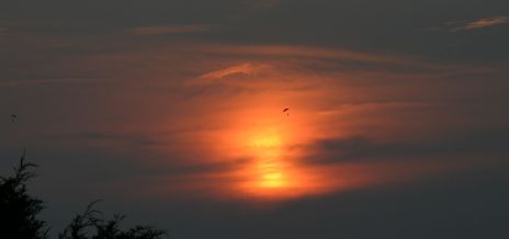 Sunset with Skydivers