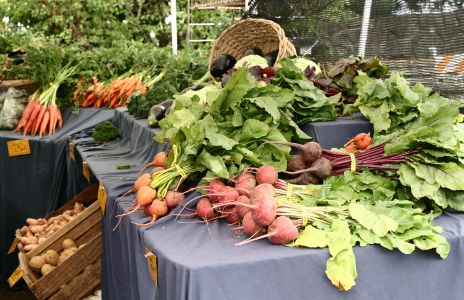 Produce at Market in Eugene, OR