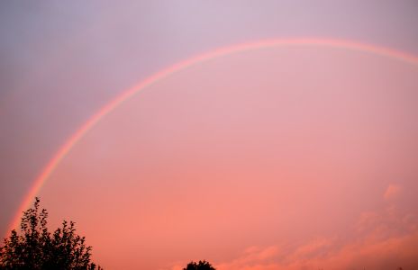 Brilliant Rainbow