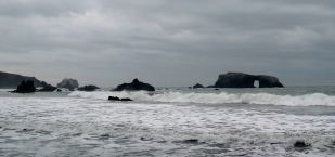 Goat Rock on the Sonoma Coast