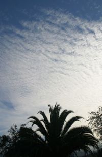 Beautiful Clouds