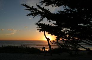 Carmel Sunset