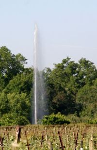 Vineyard Geyser