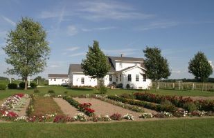 Amish Garden