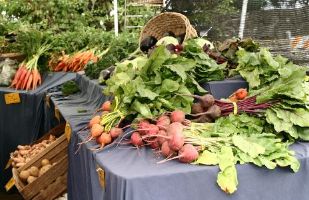 Produce at Market in Eugene