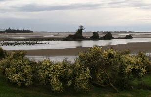 Siletz Bay at low tide