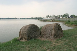 Pond at Buffalo Crossing