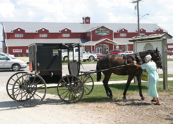 Girl Handling Horse and Buggy