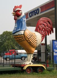 Rooster Run