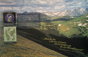 Tundra Exhibit