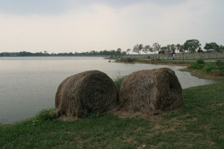 Buffalo Crossing Pond