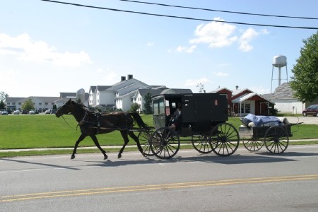 buggy pulling a wagon