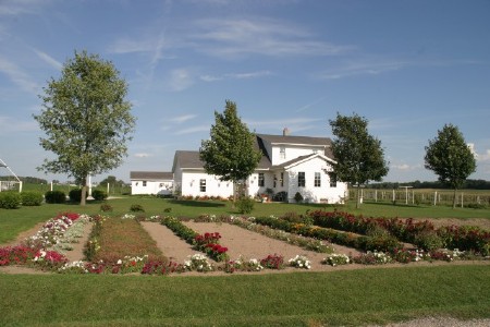 Amish Garden