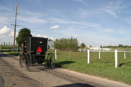 Amish Buggy