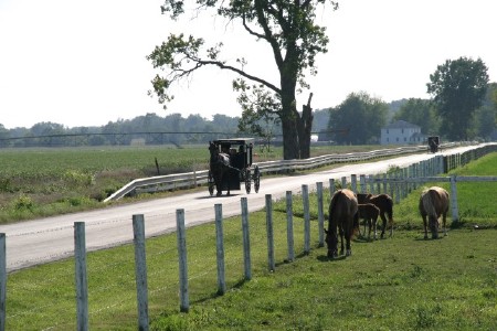 Amish Buggy
