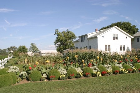 Amish Garden