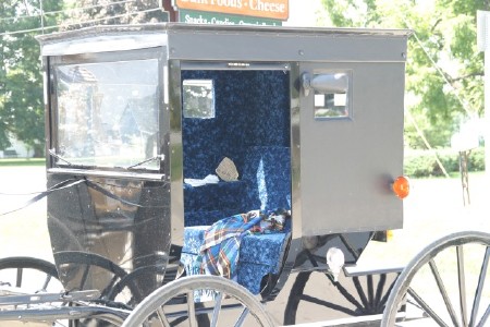 Inside a Buggy