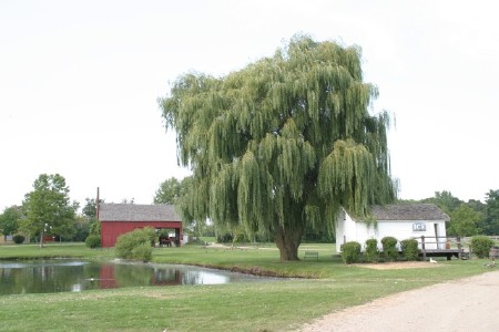 Amish Acres