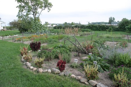 Amish Acres