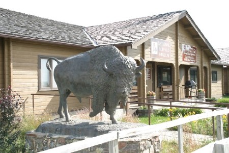 Buffalo Museum