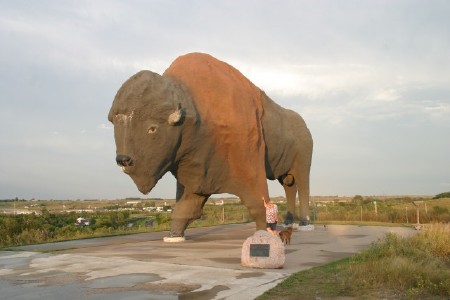 world's largest buffalo