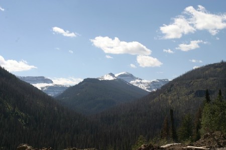 Yellowstone