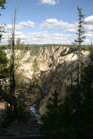 Grand Canyon of Yellowstone