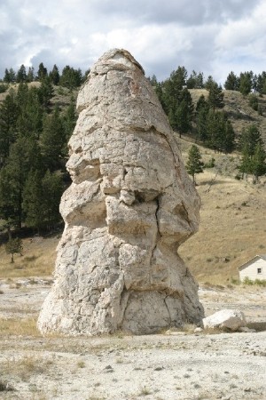 Liberty Cap