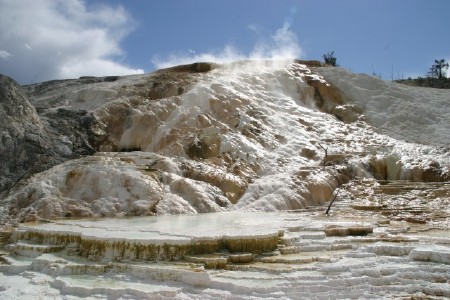 Palette Spring