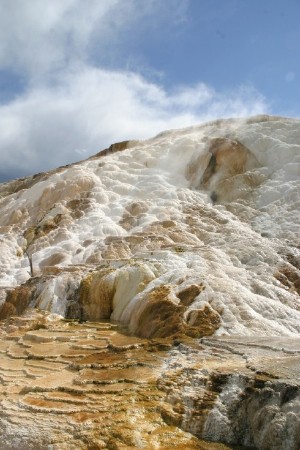 Mammoth Springs