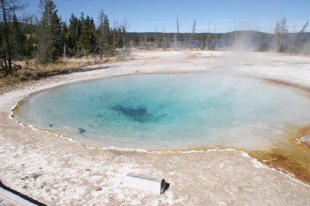 West Thumb Geyser Basin.