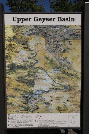 Upper Geyser Basin