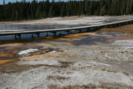 Upper Geyser Basin
