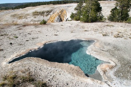 Bird Shaped Hot Spring