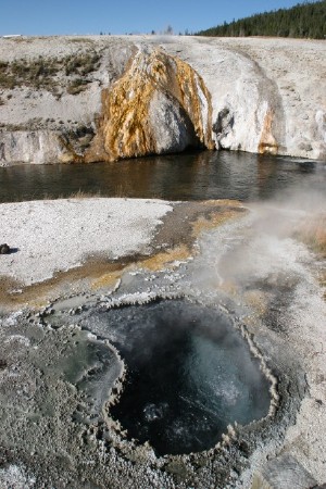 Spring flowing into the Firehole River