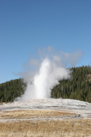 Old Faithful