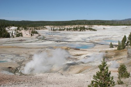 Norris Geyser Basin