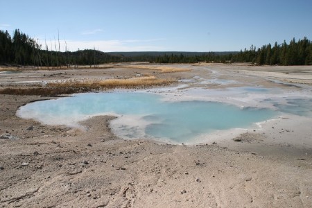 Norris Geyser Basin