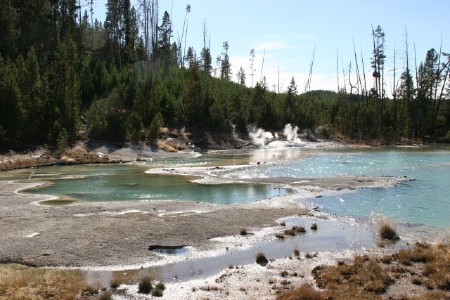 Norris Geyser Basin