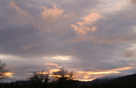 Redwood Valley Sunset