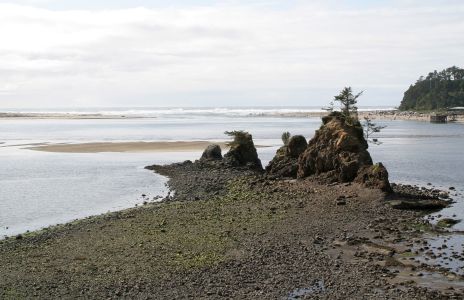 Siletz Bay Island at Low Tide