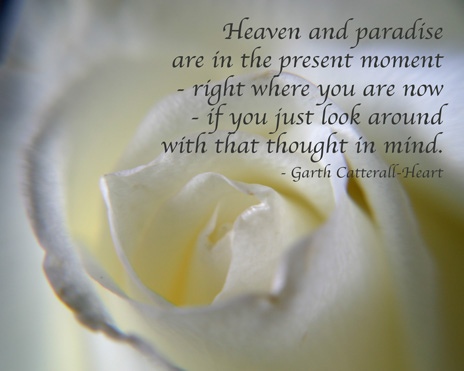 White Rose with Quote