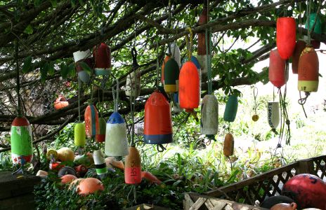 Fishing Floats Hanging from a Tree