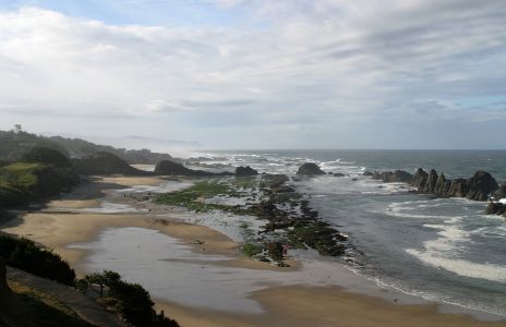 Seal Rocks at Low Tide
