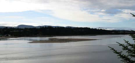 Alsea Bay on the Oregon Coast, Low Tide