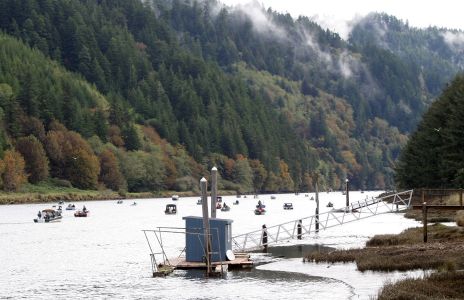 Fishing Boats on Alsea River, OR