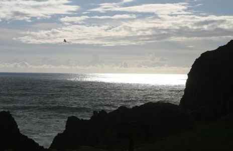 Seal Rocks, near Waldport, OR