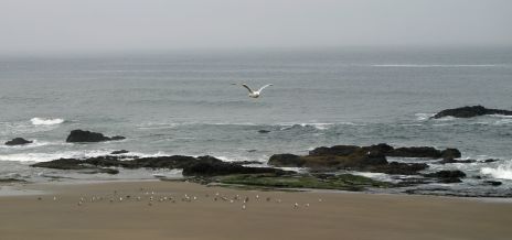 Rocky Oregon Coast