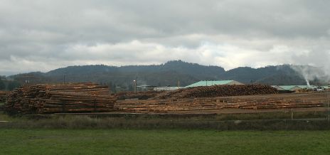 Lumber Mill in Oregon