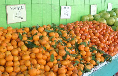 Oranges and Tangerines